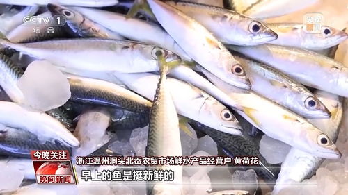 又是开渔季，走，跟着记者去赶海寻鲜