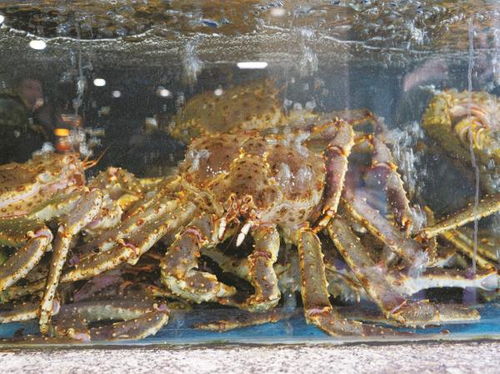 端午将至，东海休渔，甬城“菜篮子”如何保障水产品供应？