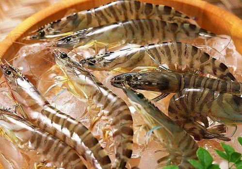 西安农贸市场全面禁售进口水产冻货，商户签订承诺书力保食品安全