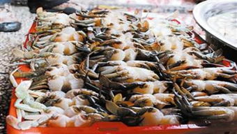 2015年中国水产品进出口贸易格局 机遇与挑战并存