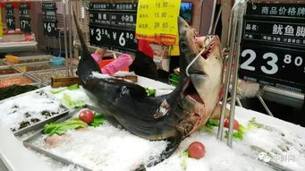 超实用的海鲜水产品陈列全攻略，让鱼虾蟹成为超市吸金石