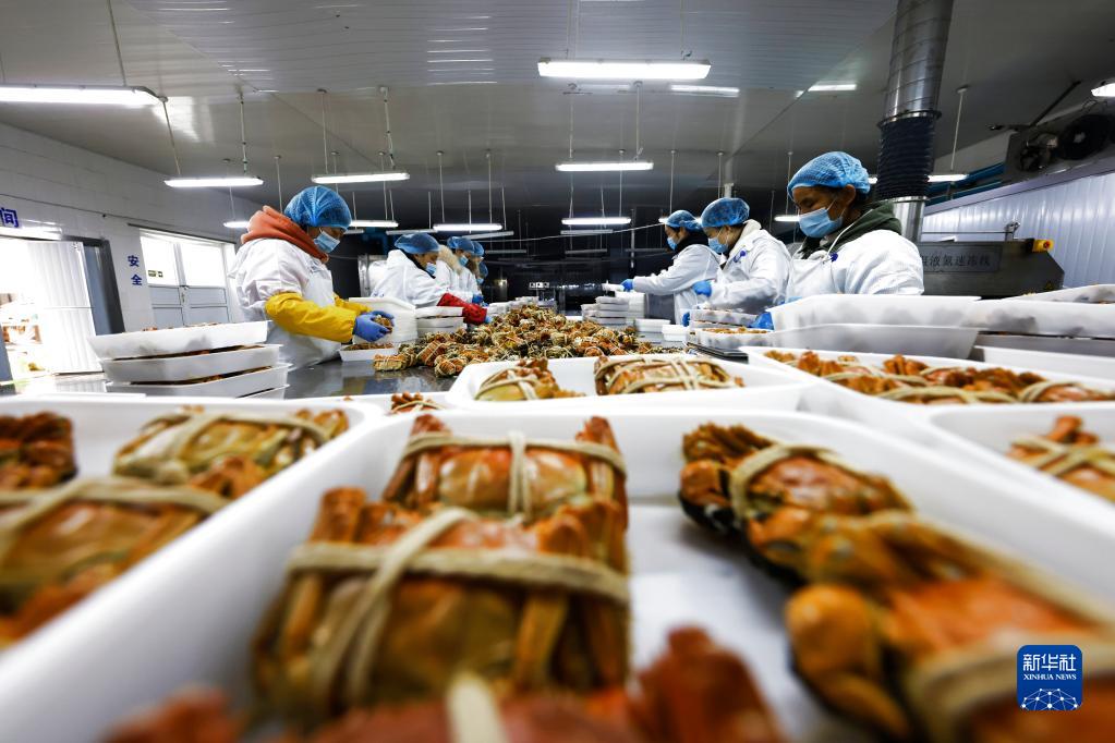 订单螃蟹加工忙 水产品市场供应充足